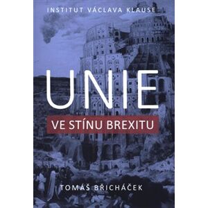 Unie ve stínu brexitu - Tomáš Břicháček