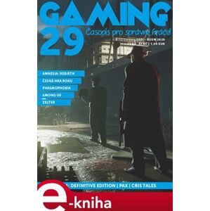 Gaming 29 e-kniha