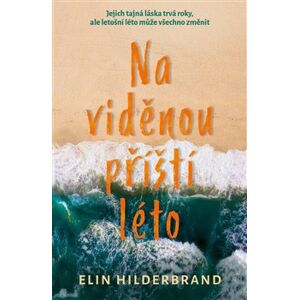Na viděnou příští léto - Elin Hilderbrand