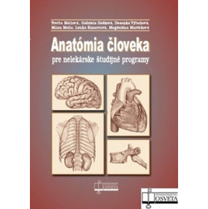 Anatómia človeka pre nelekárske štúdijné programy -  Autor Neuveden