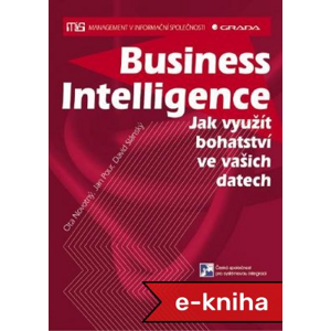 Business Intelligence: Jak využít bohatství ve vašich datech - David Slánský, Jan Pour, Ota Novotný [E-kniha]