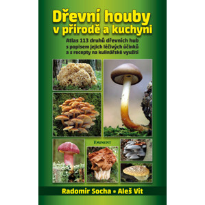 Dřevní houby v přírodě a kuchyni -  Aleš Vít