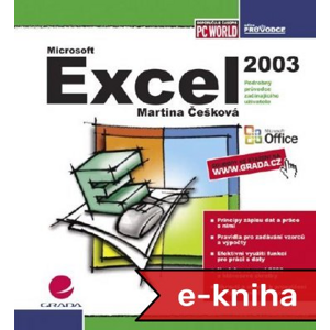 Excel 2003: podrobný průvodce začínajícího uživatele - Martina Češková [E-kniha]