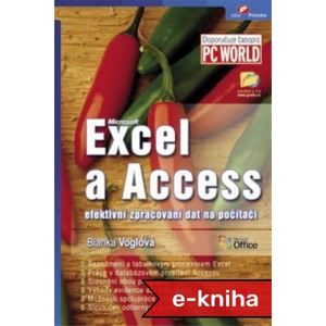 Excel a Access: efektivní zpracování dat na počítači - Blanka Nováková [E-kniha]