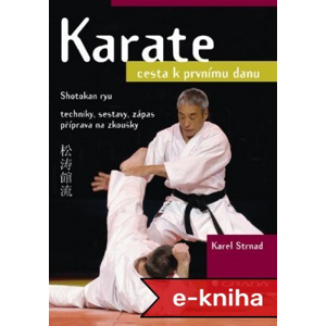 Karate: Cesta k prvnímu danu - Karel Strnad [E-kniha]