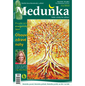 Meduňka 11/2022 -  K4K Publishing