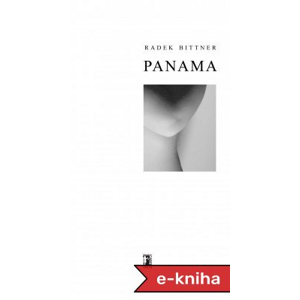 Panama - Radek Bittner [E-kniha]