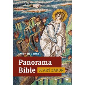 Panorama Bible Starý zákon -  Stephen J. Binz