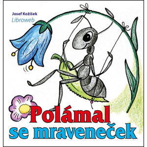 Polámal se mraveneček -  Miriam Johanka Štivarová