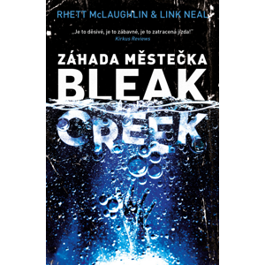 Záhada městečka Bleak Creek -  Link Neal