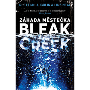 Záhada městečka Bleak Creek -  Link Neal