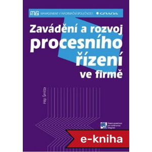 Zavádění a rozvoj procesního řízení ve firmě - Filip Šmída [E-kniha]